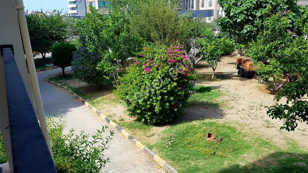 Flat To Rent in Doğanköy, Kyrenia