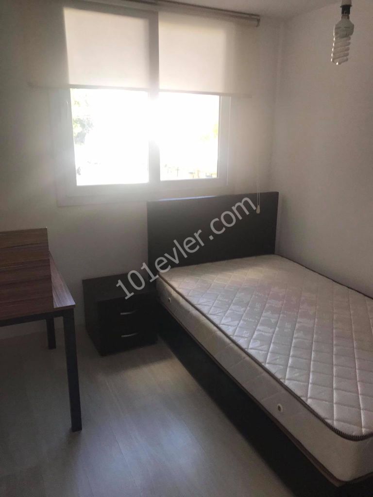 Girne Merkez 2+1  Kiralık Daire 2800 TL