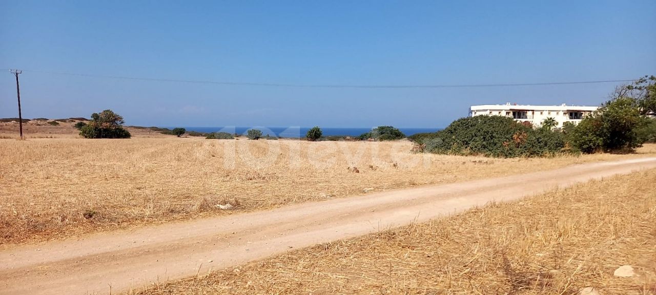 TATLISU'DA  MUHTEŞEM LOKASYONDA  SU+ELEKTRİK ALT YAPILARI OLAN 54.5 DÖNÜM ARAZİ.