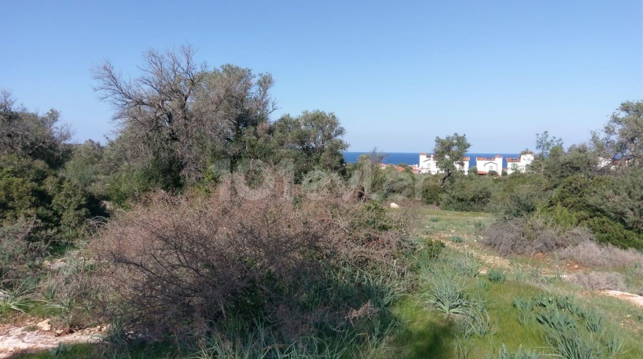 ALL THE INFRASTRUCTURE OF ESENTEPE IS READY FOR THE CONSTRUCTION OF A VILLA IN A GREAT LOCATION ** 