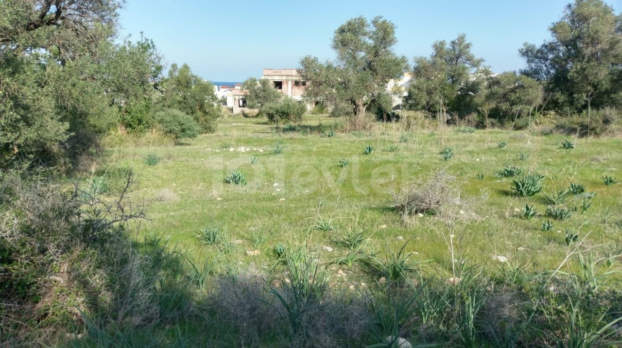 ALL THE INFRASTRUCTURE OF ESENTEPE IS READY FOR THE CONSTRUCTION OF A VILLA IN A GREAT LOCATION ** 