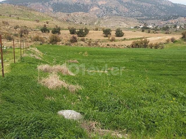 KANLIKÖY LEFKOŞA'DA İMARA AÇIK TÜRK KOÇANLI ARAZİ