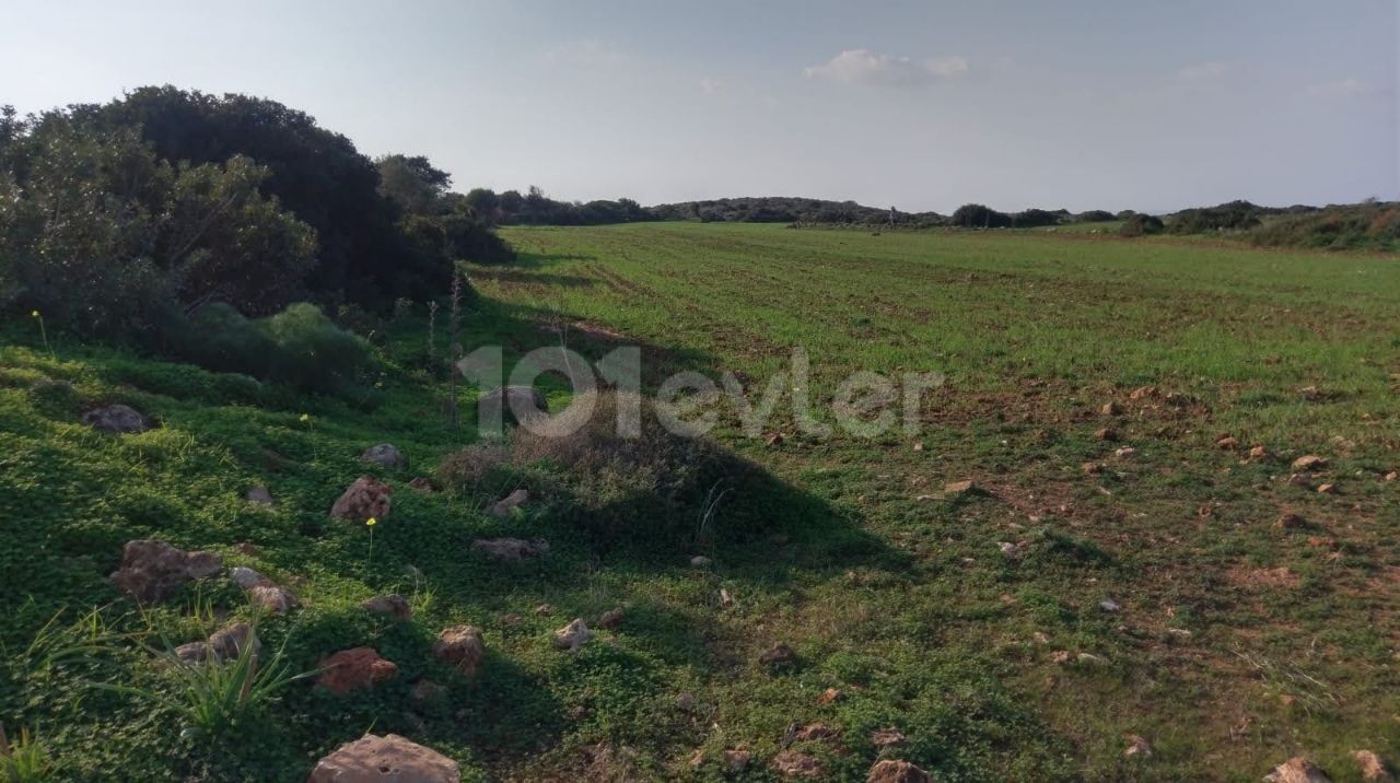 İSKELE YENİ ERENKÖY'DE MAVİ BÖLGE TURİSTİK TESİS OLMAYA UYGUN DENİZE MESAFE 300 METRE.