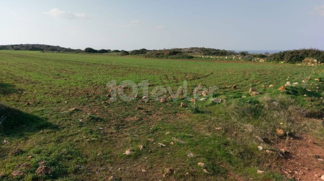 İSKELE YENİ ERENKÖY'DE MAVİ BÖLGE TURİSTİK TESİS OLMAYA UYGUN DENİZE MESAFE 300 METRE.