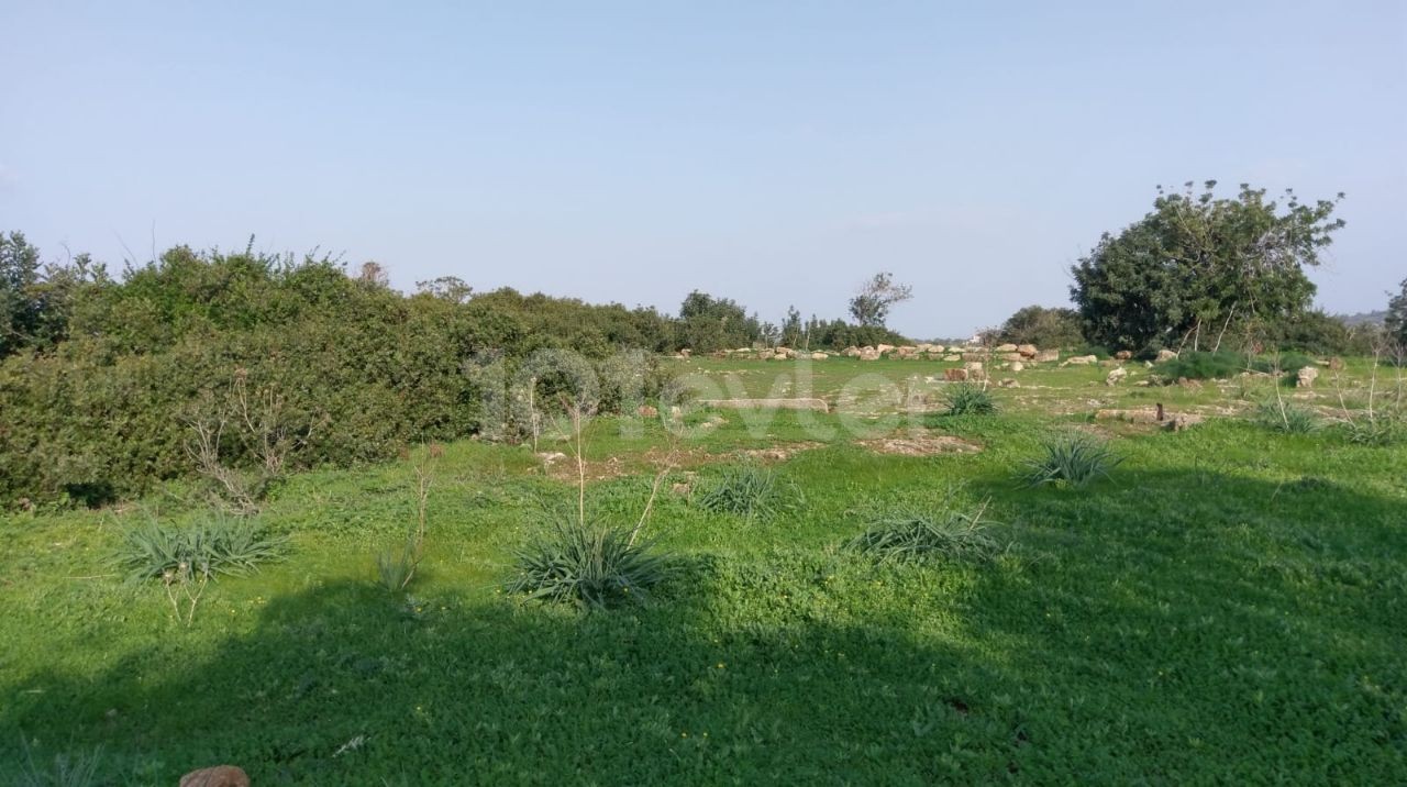 LAND FOR SALE IN ISKELE YENİ ERENKÖY, 5 MINUTES TO THE BEACH SUITABLE FOR VILLA CONSTRUCTION! (IN HIGH LOOK) ** 