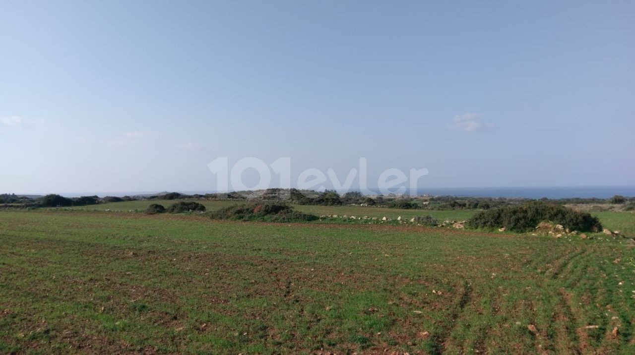 LAND FOR SALE IN ISKELE YENİ ERENKÖY, 5 MINUTES TO THE BEACH SUITABLE FOR VILLA CONSTRUCTION! (IN HIGH LOOK) ** 