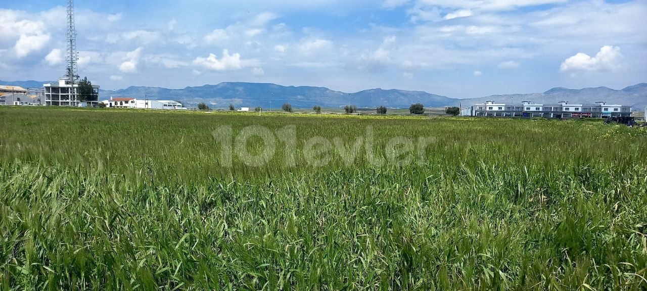 BAULAND FÜR DEN BAU VON PAKETEN INNERHALB DES INDUSTRIEGEBIETS VON NIKOSIA ALAYKÖY. ** 