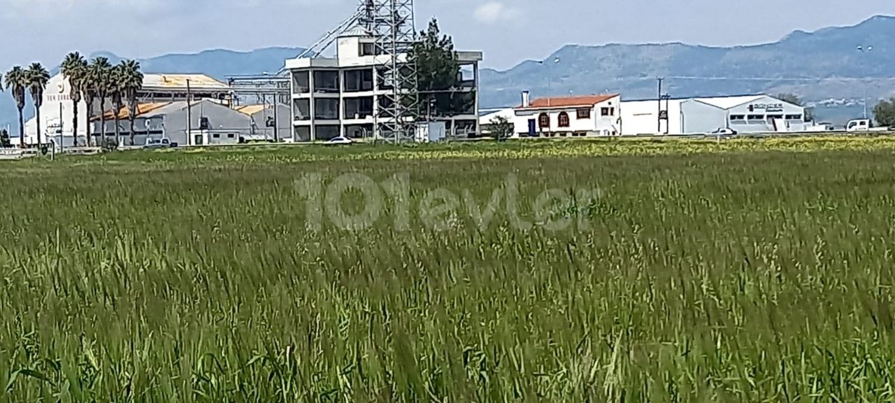 BAULAND FÜR DEN BAU VON PAKETEN INNERHALB DES INDUSTRIEGEBIETS VON NIKOSIA ALAYKÖY. ** 