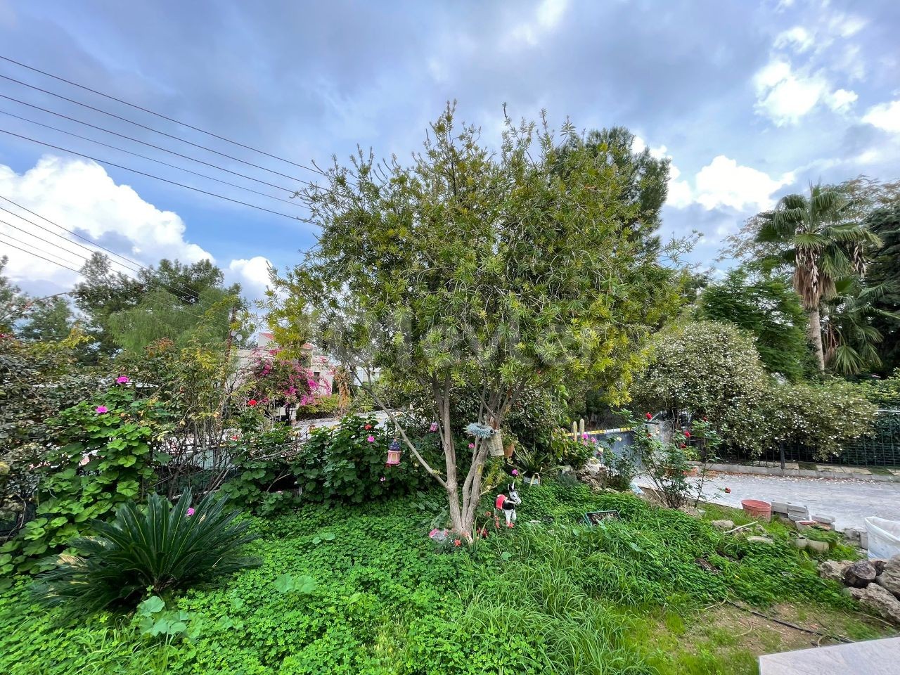 Einfamilienhaus Kaufen in Zeytinlik, Kyrenia