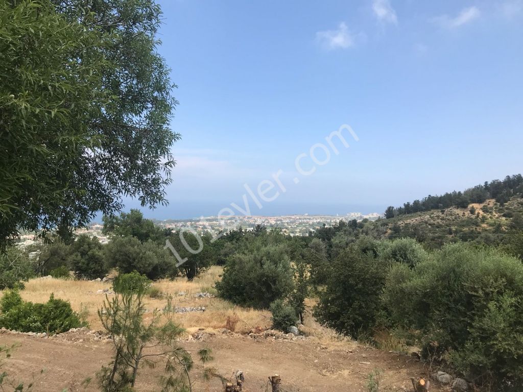 Lapta / Kyrenia sea and mountain view vılla