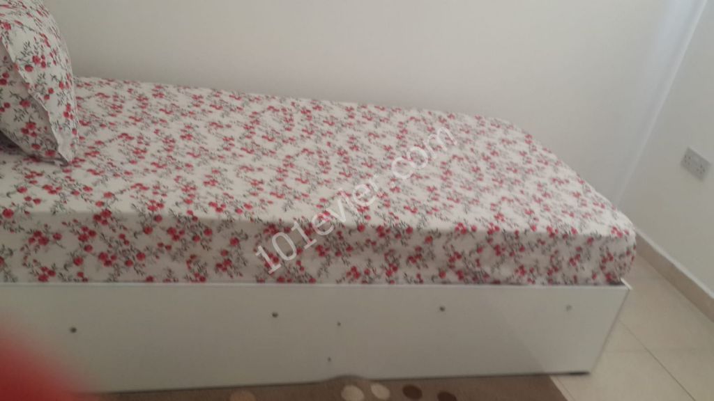 Flat To Rent in Gemikonağı, Lefke