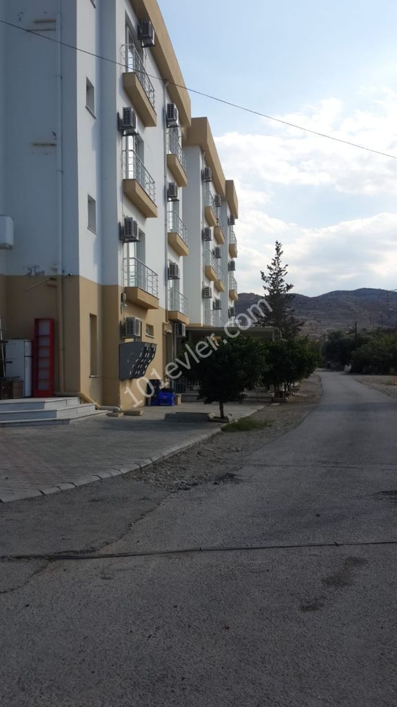 Studio Flat To Rent in Lefke, Lefke