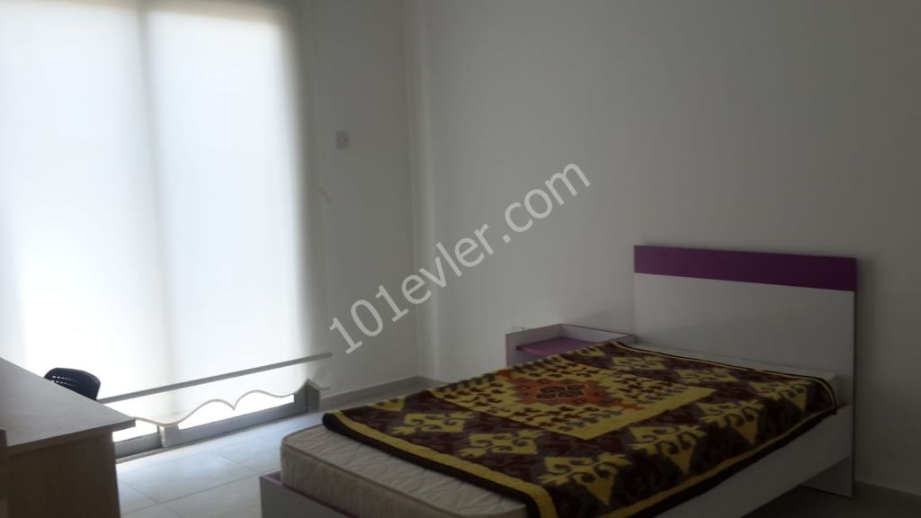 Flat To Rent in Lefke, Lefke