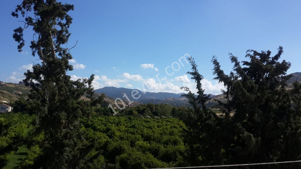 Flat To Rent in Lefke, Lefke