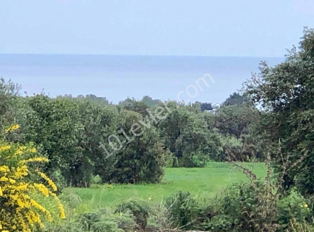 Residential Zoned Plot For Sale in Ozanköy, Kyrenia