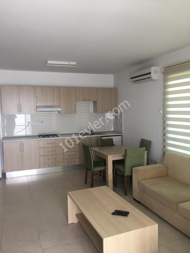 Yeni Liman Bölgesi 1+1 Yeni Bina Kiralık Daire