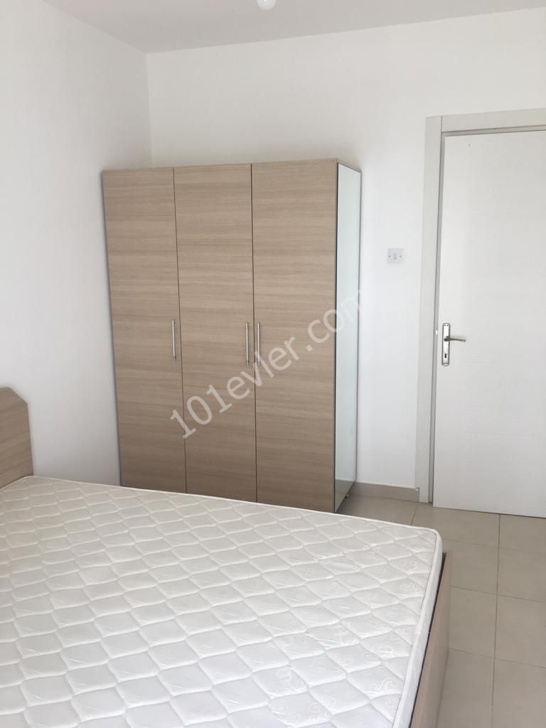 Yeni Liman Bölgesi 2+1 Yeni Bina Kiralık Daire