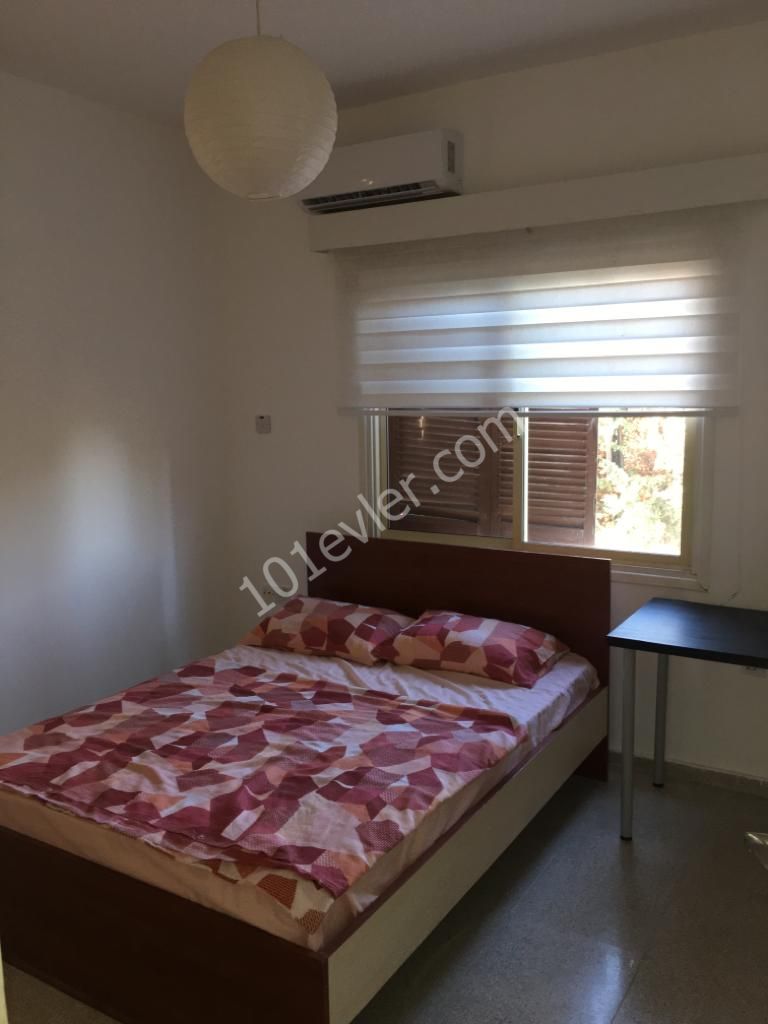 Girne Amerikan Üniversitesine Yakın Site İçerisinde Bahçeli-Havuzlu  2+1 Kiralık Müsakil  İkiz Villa