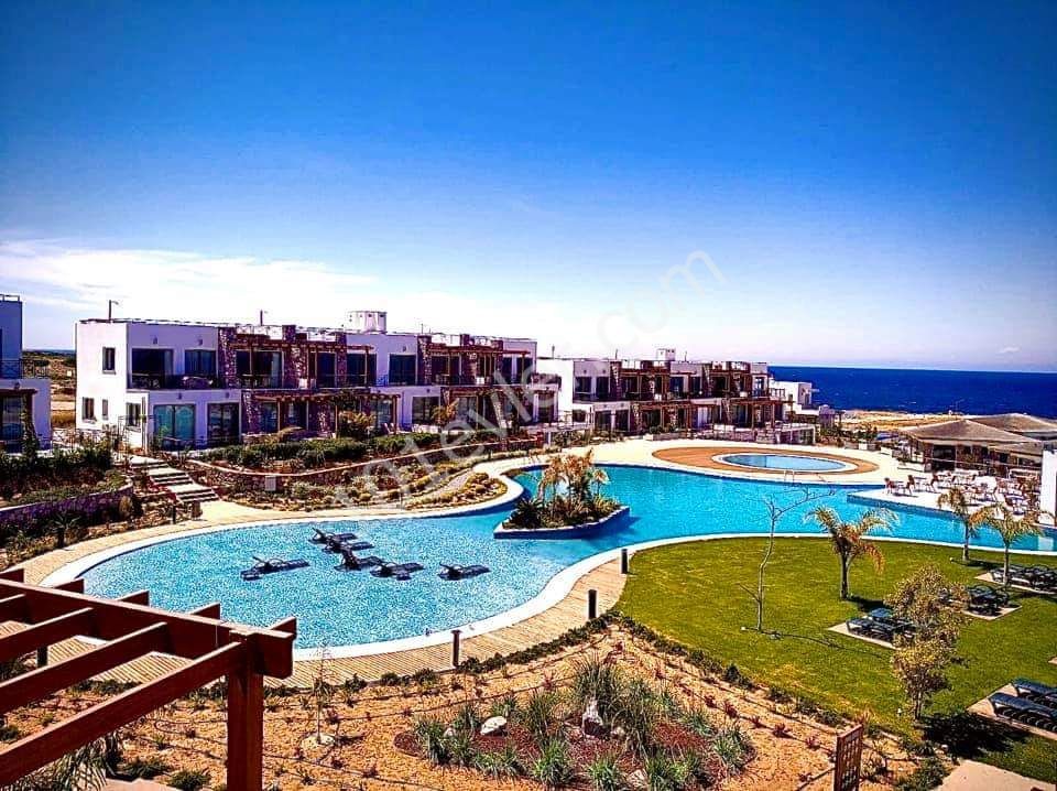 Elite Holiday Options That Are Unique in Northern Cyprus - Apartment for Rent for a Day/Period-Penthouse-Villa ** 