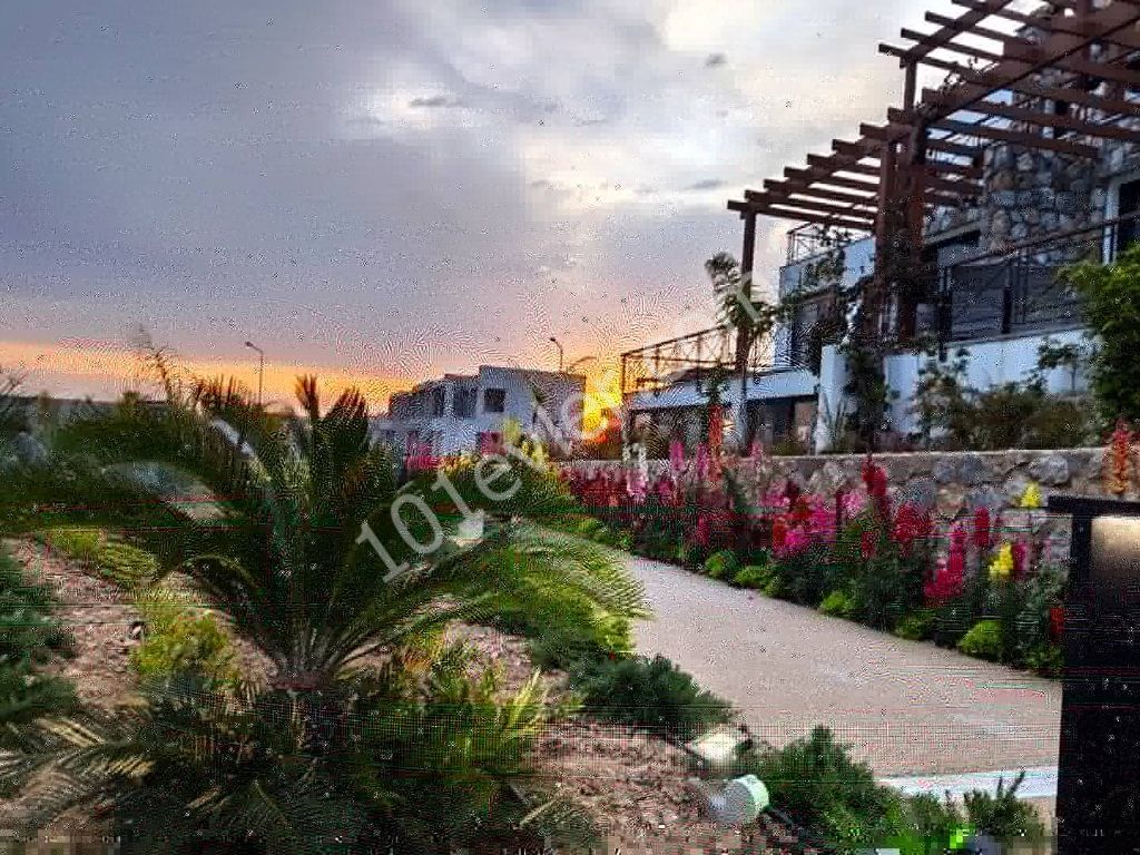 Elite Holiday Options That Are Unique in Northern Cyprus - Apartment for Rent for a Day/Period-Penthouse-Villa ** 