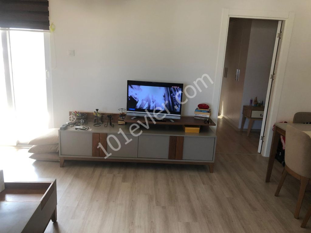 Girne Merkezde Havuzlu Site İçerisinde Kiralık Yeni 1+1 Daire 