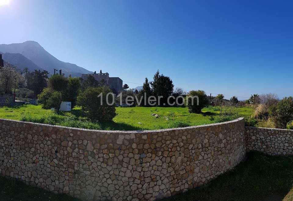 Girne Bellapais Satılık Villa 5 3