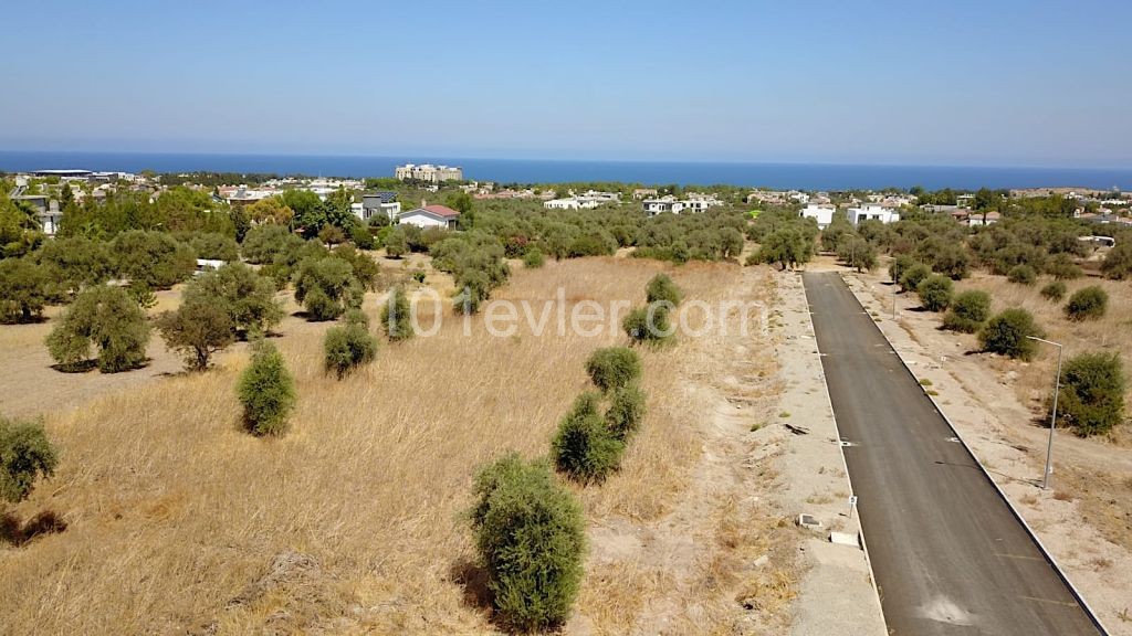 Plot for sale in Ozanköy, Girne, North Cyprus