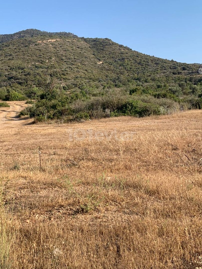 Land for Sale with a Garden in Kyrenia ** 