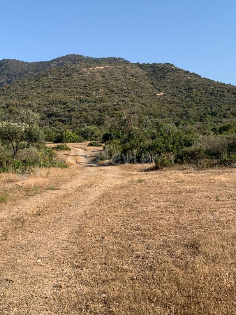 Land Zum Verkauf In Kyrenia Garten ** 