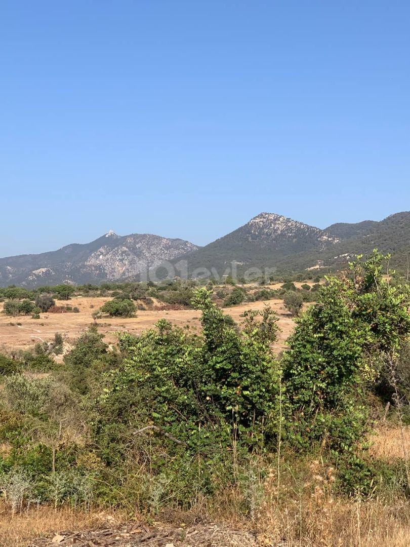 Land for Sale with a Garden in Kyrenia ** 