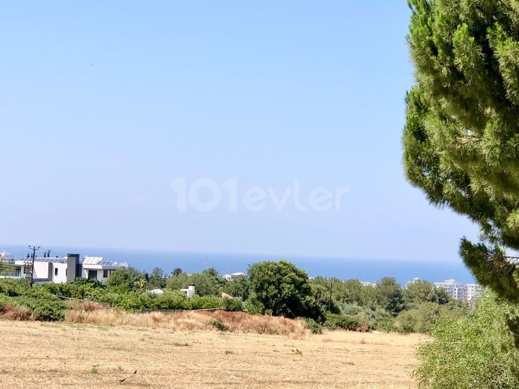 Kyrenia Dogankoy Villa for Sale 3+1