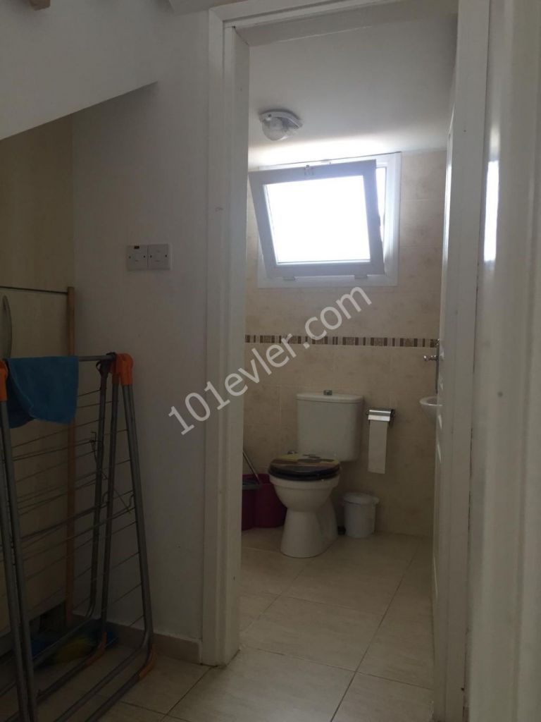 Çatalköyde ulaşımı kolay müstakil Bahçeli ortak havuzlu sitede eşyalı 3+1 kiralık villa 