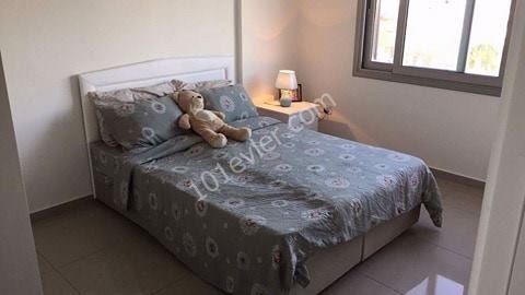 Girne merkezde asansörlü binada eşyalı 1+1 kiralık daire