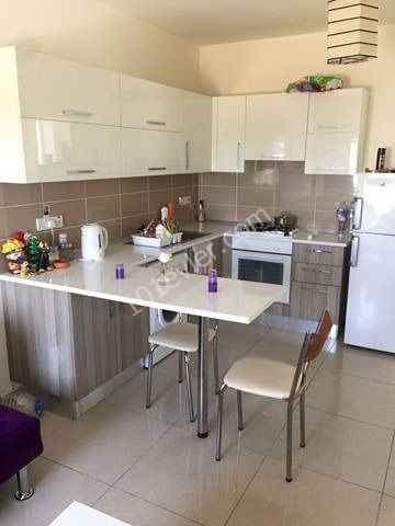 Girne merkezde asansörlü binada eşyalı 1+1 kiralık daire