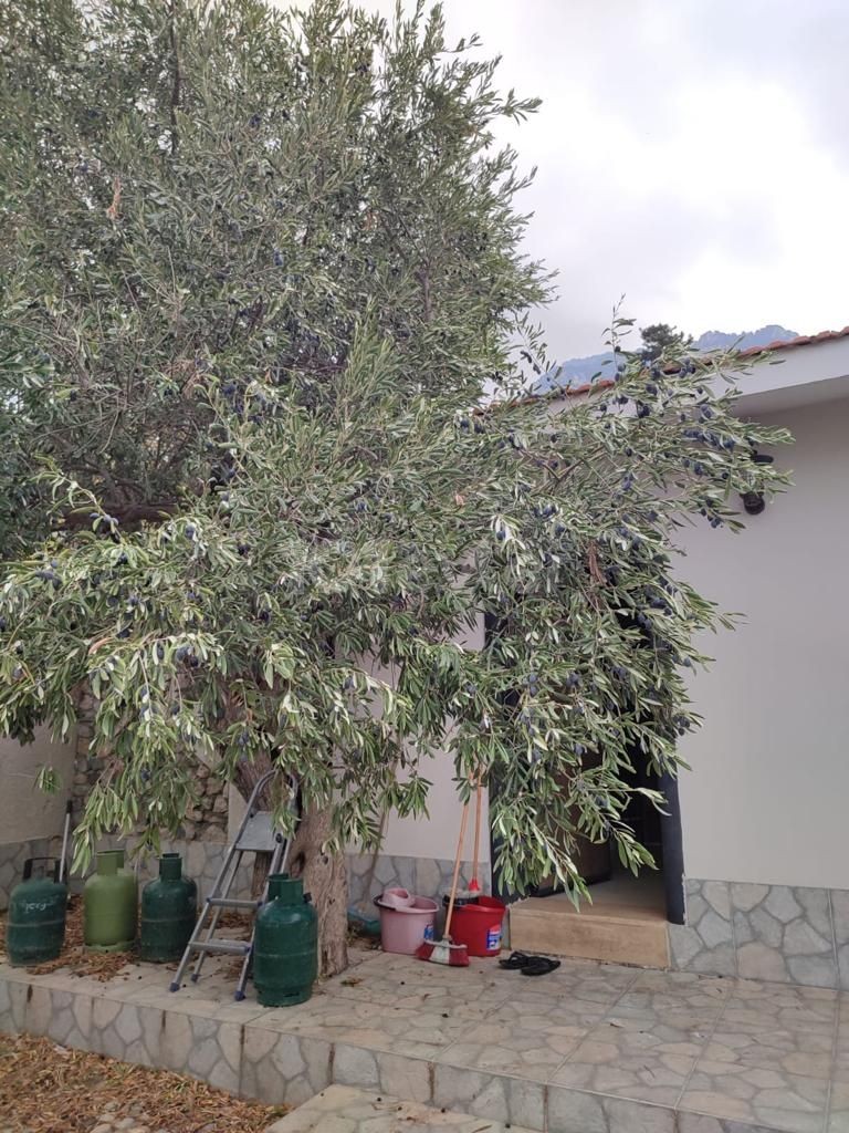 Detached House For Sale in Karşıyaka, Kyrenia