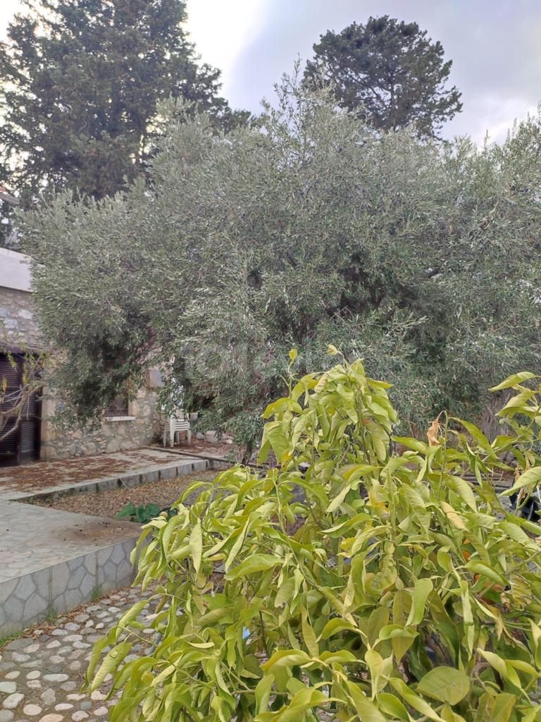 Detached House For Sale in Karşıyaka, Kyrenia