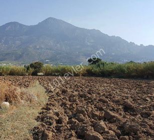 LAPTA'DA DENİZE YÜRÜYÜŞ MESAFESİNDE DAG VE DENİZ MANZARALI 1 DÖNÜM 1 EVLEK 2200 AYAKKARE GEÇİT İZNİ ALINMIŞ SATILIK ARAZİ