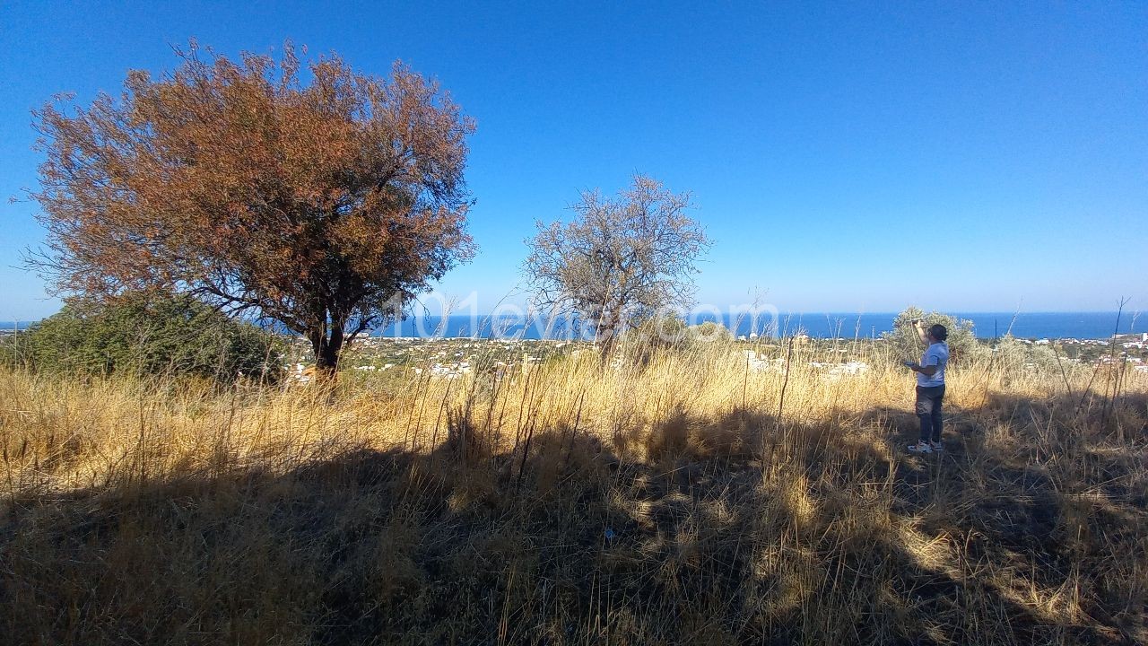 Land For Sale In Lapta ** 