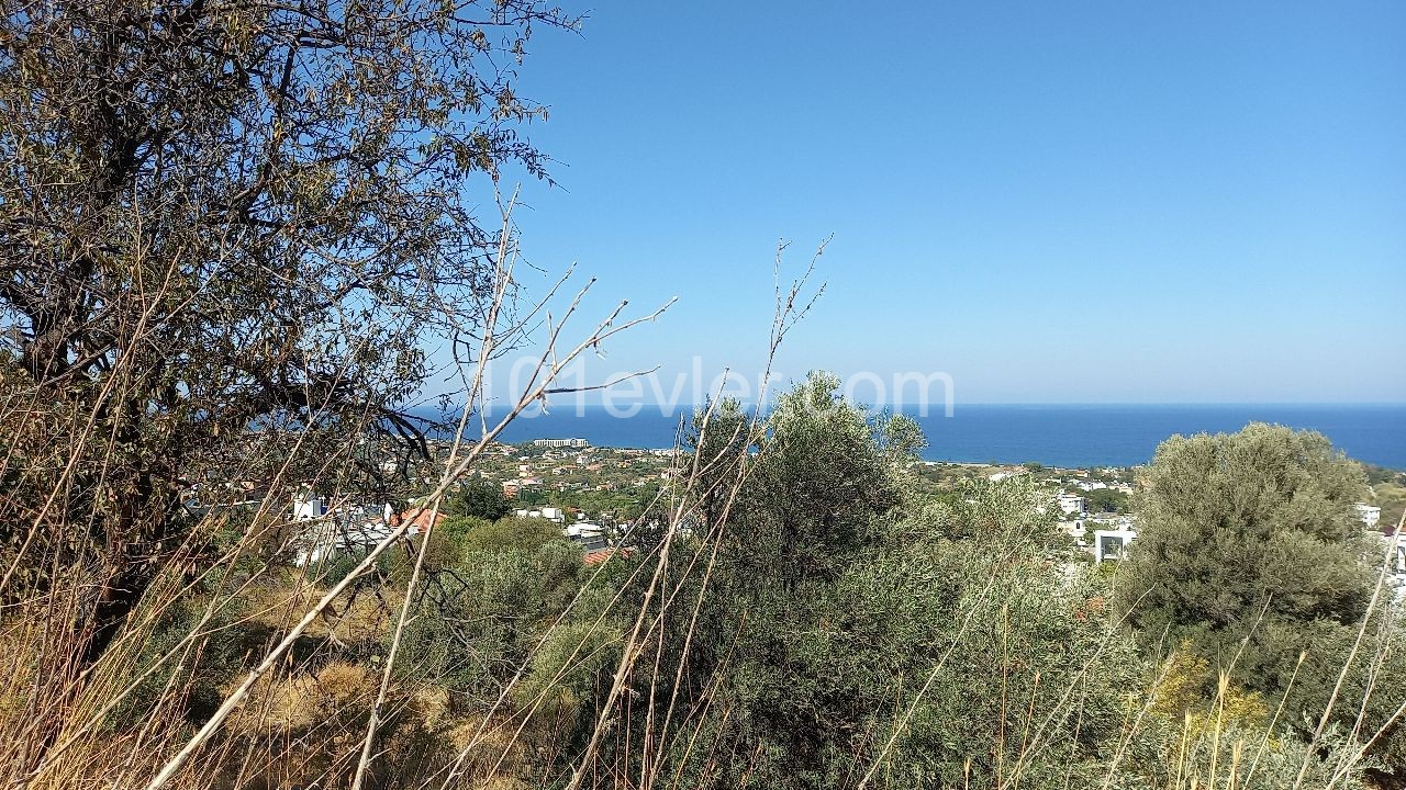 Land For Sale In Lapta ** 