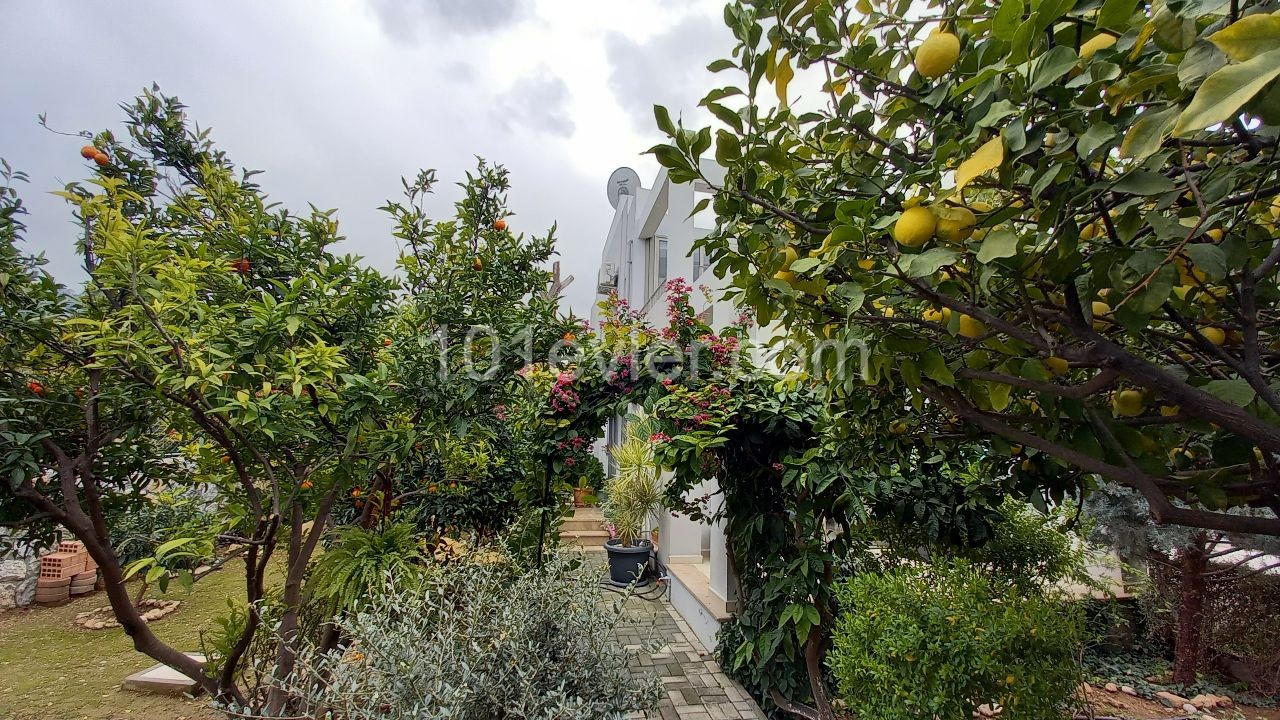 Alsancak 2+1 Semidetached Duplex Villa With Garden