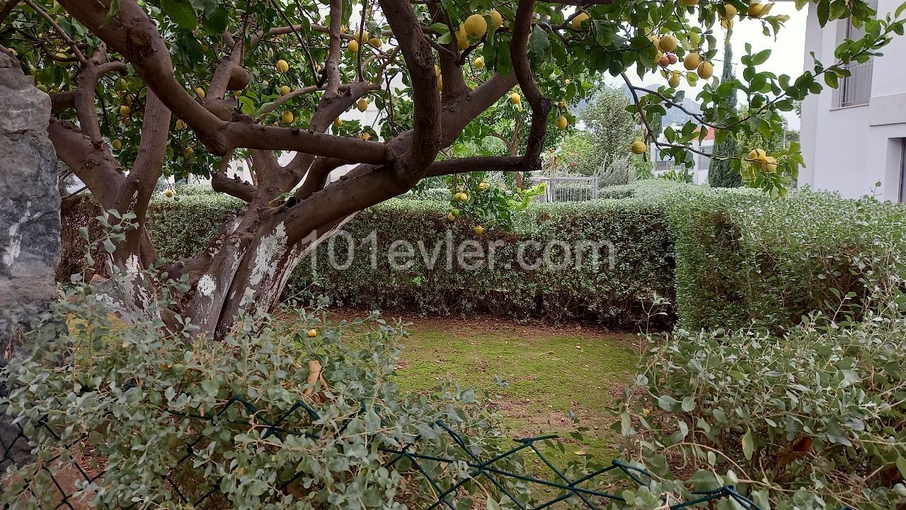 Alsancak 2+1 Semidetached Duplex Villa With Garden