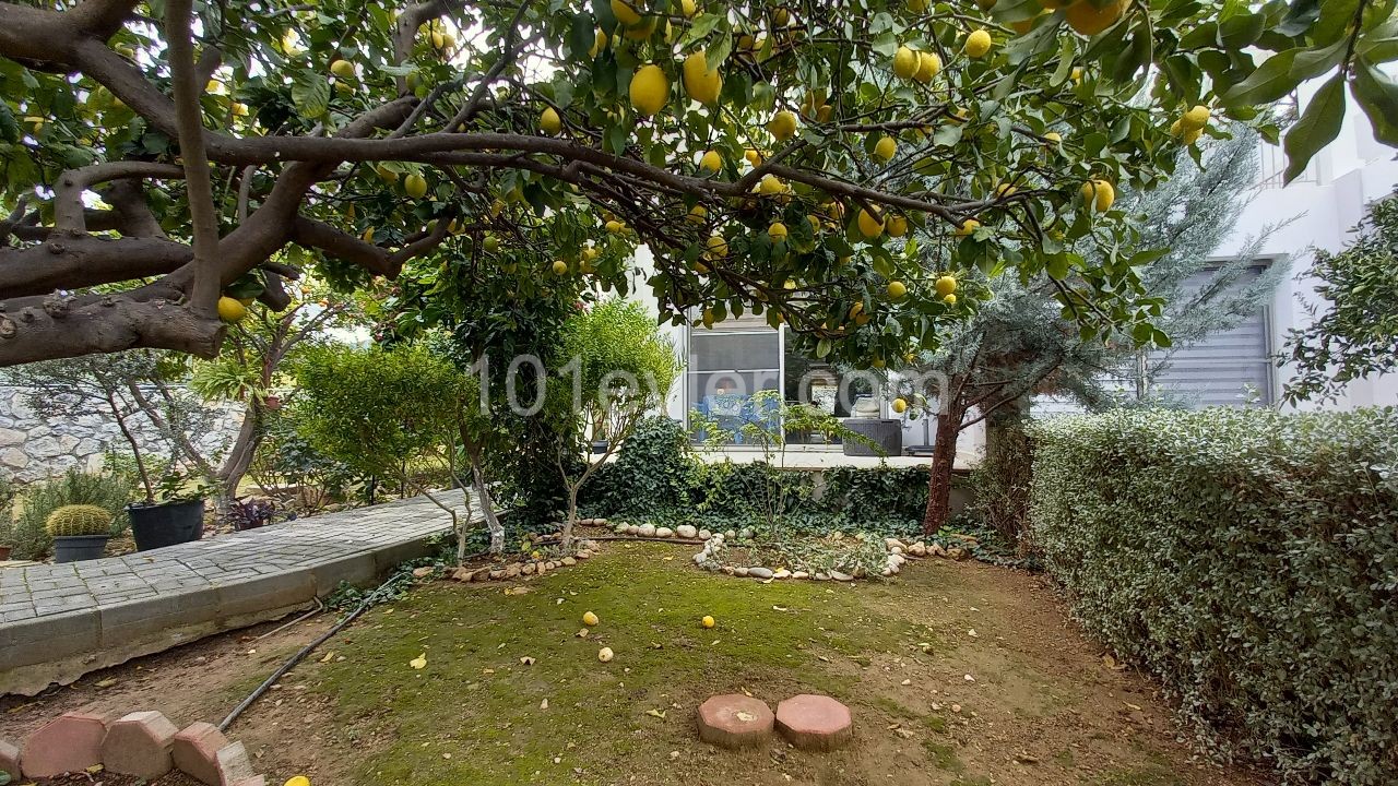 Alsancak 2+1 Semidetached Duplex Villa With Garden