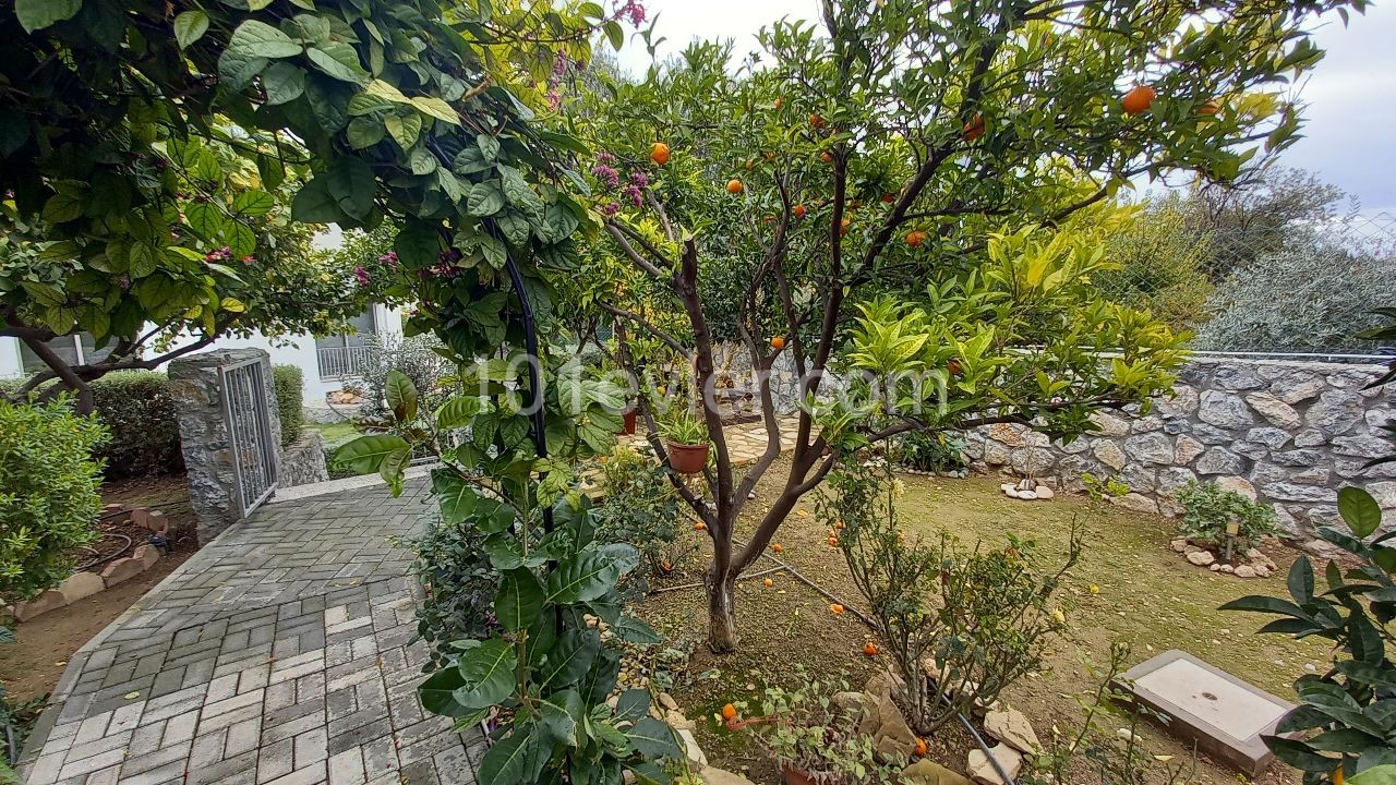 Alsancak 2+1 Semidetached Duplex Villa With Garden