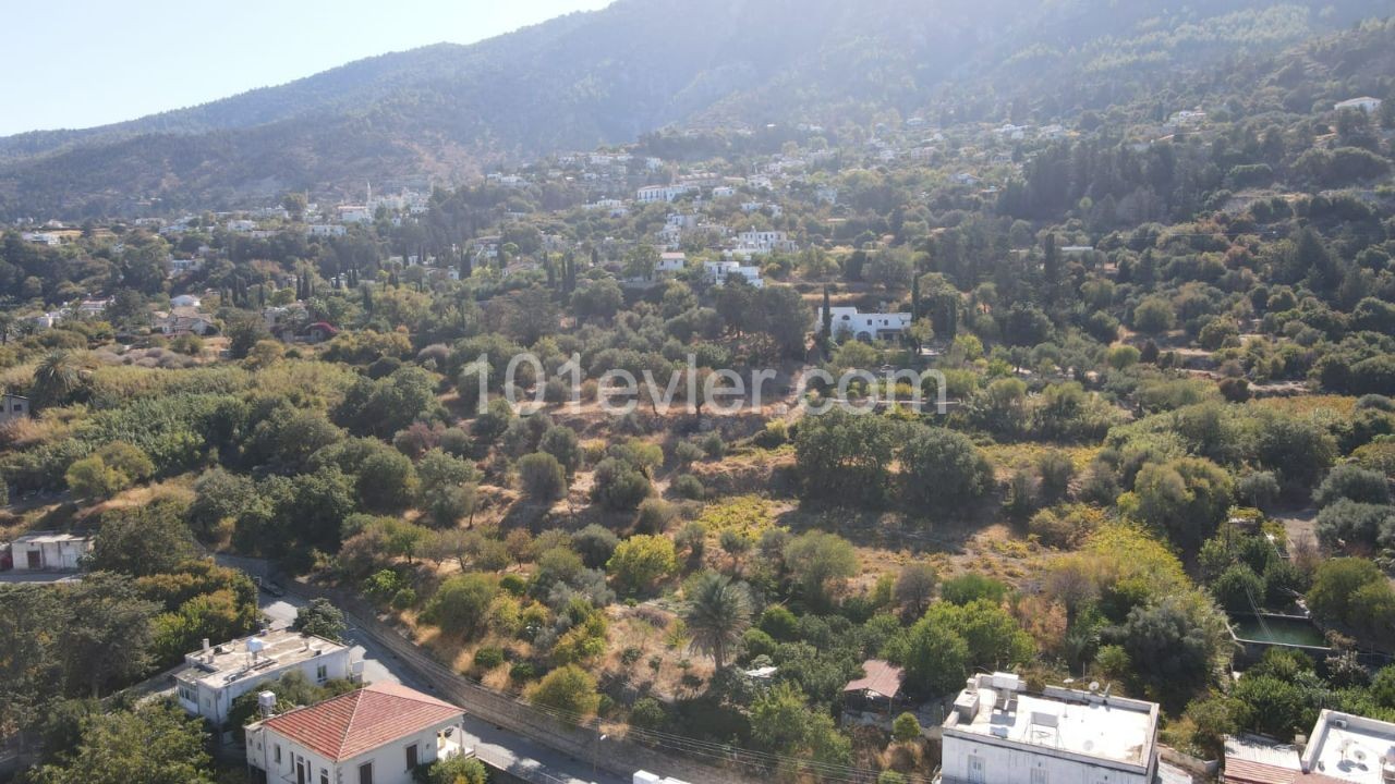 Land For Sale In Lapta