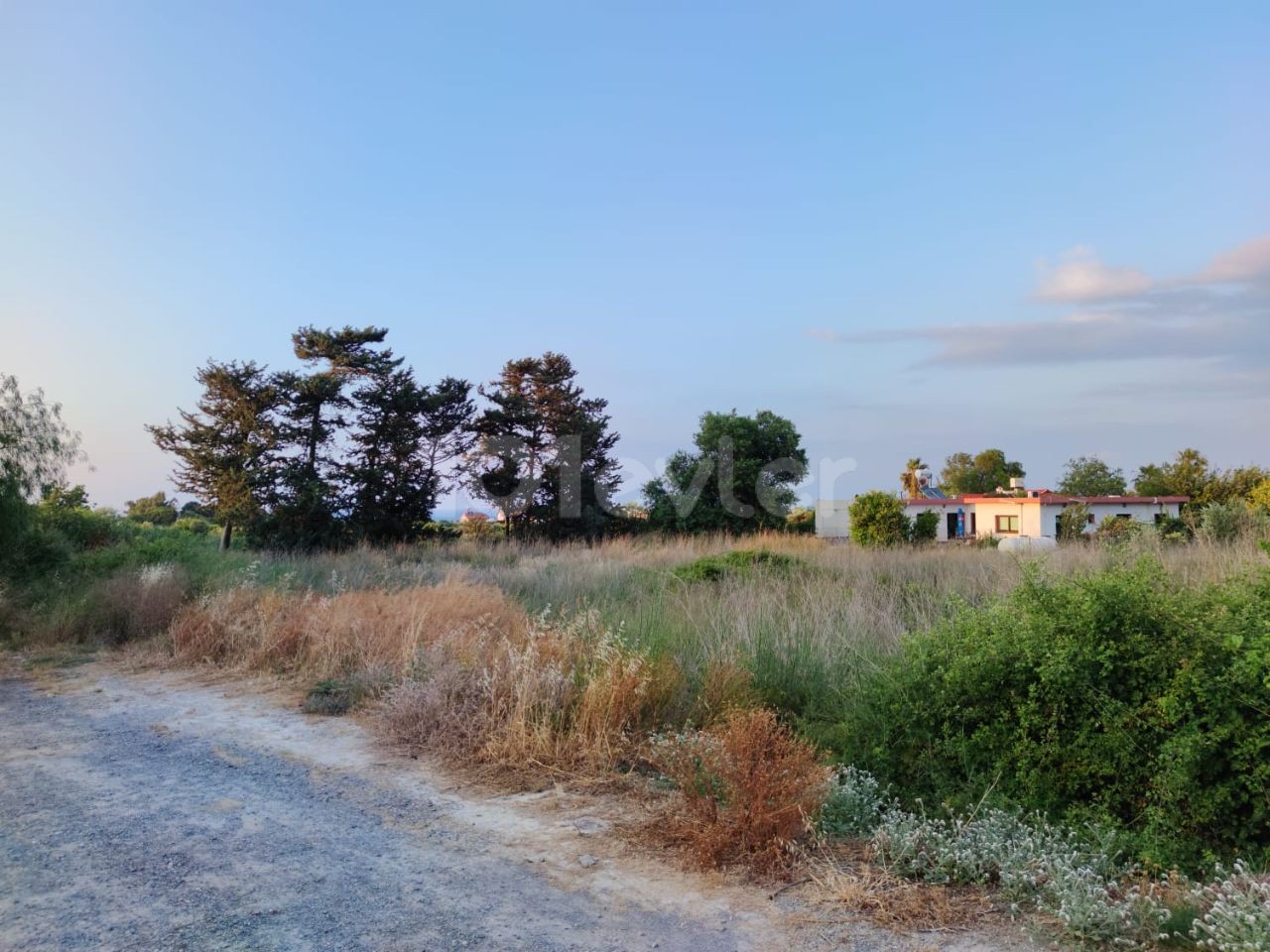 2 Hektar Land zum Verkauf in einer herrlichen Lage in Lapta ** 