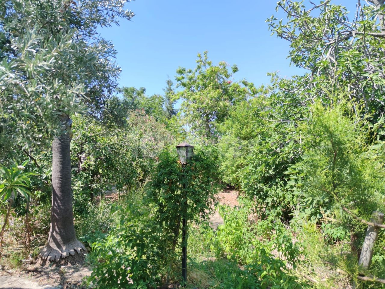 Altes zypriotisches Haus mit großem Garten zum Verkauf in Lapta ** 