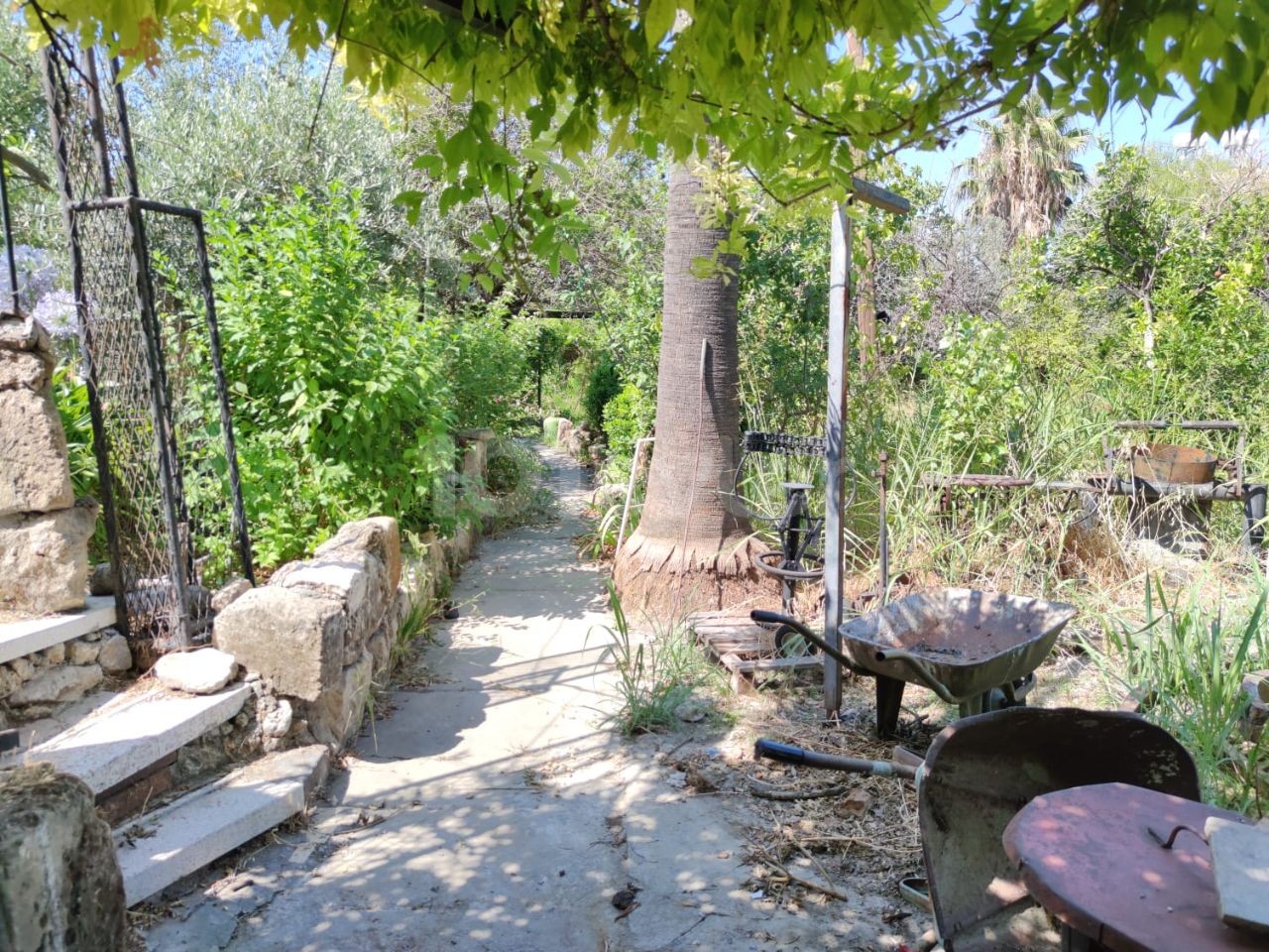 Altes zypriotisches Haus mit großem Garten zum Verkauf in Lapta ** 