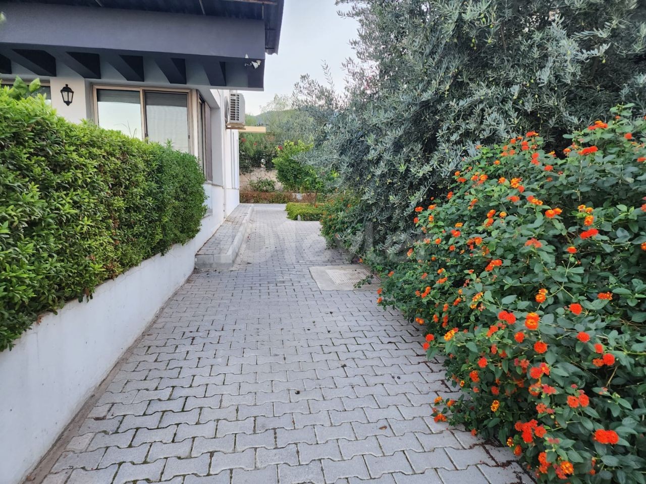 Girne Alsancak'ta 2+1Teraslı, Havuzlu Kiralık Daire