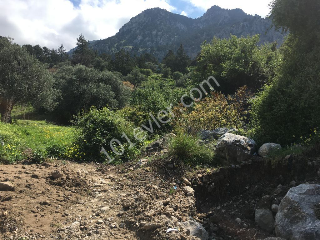 Residential Zoned Plot For Sale in Karşıyaka, Kyrenia