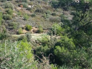 Residential Zoned Plot For Sale in Malatya, Kyrenia